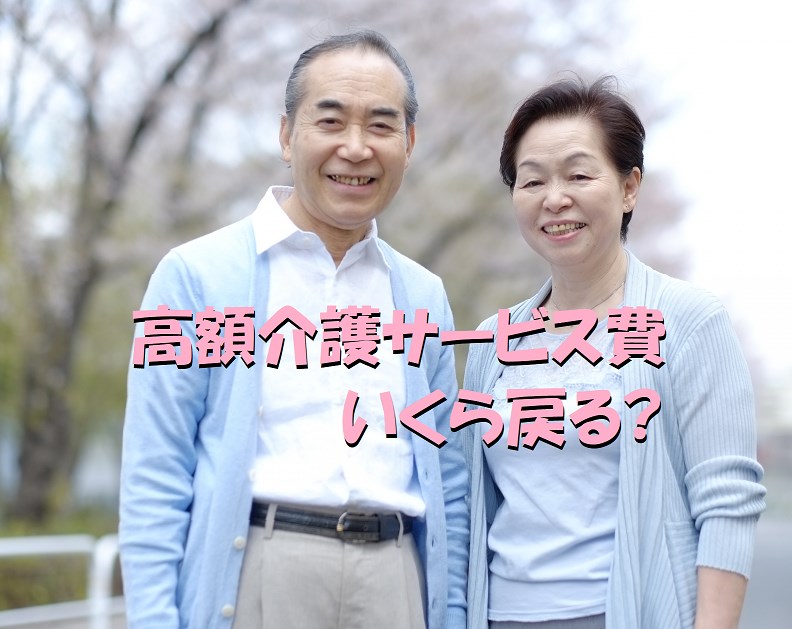 高額介護サービス費　いくら戻る　払い戻し